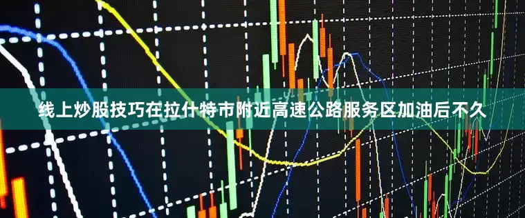 线上炒股技巧在拉什特市附近高速公路服务区加油后不久